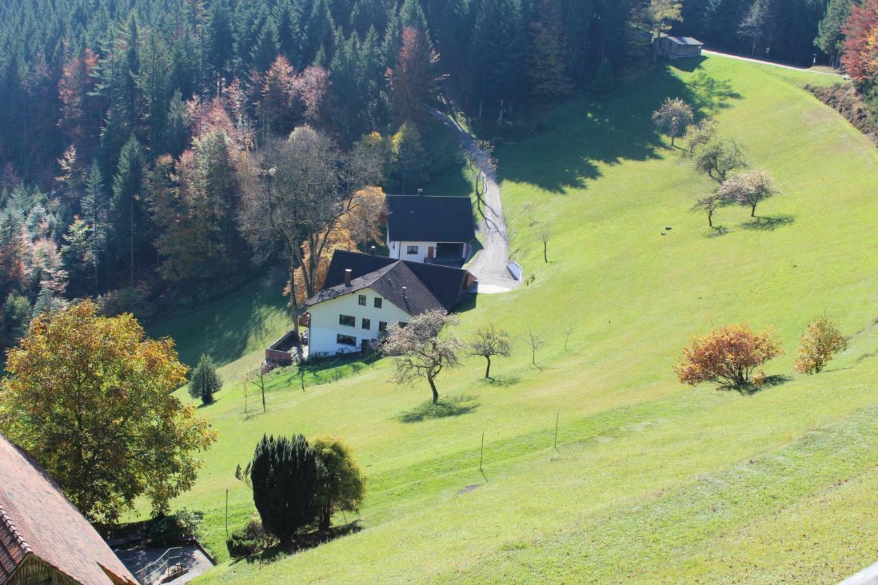 Апартаменти Haus Laetsch Бад-Петерсталь-Ґрісбах Екстер'єр фото